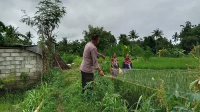 Polri Perkuat Sektor Agraris: Aksi Nyata Personel Polsek Labuapi Dampingi Petani di Tengah Sawah Dusun Jogot