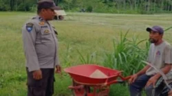 Momen Hangat Polisi dan Petani di Giri Tembesi: Sinergi Kuat Wujudkan Kemandirian Pangan dari Desa