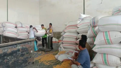 Polsek Gerung Kawal Distribusi Jagung di Desa Beleke