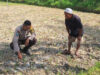 Bhabinkamtibmas Desa Sukadana Monitoring Lahan Jagung, Dukung Program Ketahanan Pangan Nasional