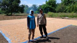 Motivasi dan Pendampingan Bhabinkamtibmas, Petani Mbuju Siap Tingkatkan Produktivitas