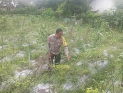 Bhabinkamtibmas Desa Kesik Cek Lahan Ketahanan Pangan Bergizi di Dusun Munsok