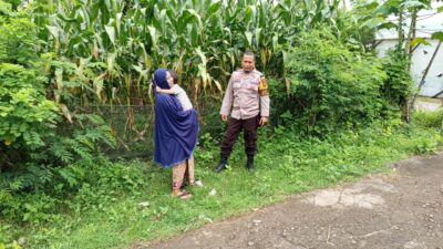 Humanis dan Produktif, Bhabinkamtibmas Kampasi Meci Kawal Ketahanan Pangan