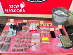 Polres Bima Kota Ungkap Peredaran Ganja 526,42 Gram, Lima Pengedar Diamankan