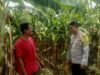Kapolsek Hu’u Apresiasi Peran Aktif Bhabinkamtibmas dalam Program Ketahanan Pangan