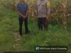 Dari Tanam Hingga Panen, Polisi di Dompu Siap Kawal Hasil Jagung Petani