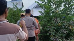 Gerak Cepat Polsek Sape, Pelaku Penganiayaan di Bajo Pulau Berhasil Diamankan