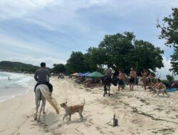 Libur Lebaran, Unit K9 Polda NTB Amankan Kawasan Wisata Pantai Tanjung Aan