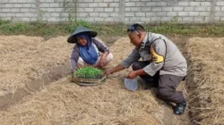 Polres Lobar Perkuat Ketahanan Pangan di Desa Merembu Labuapi