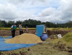 Kapolsek Terara Himbau Petani Tanam Jagung untuk Dukung Ketahanan Pangan