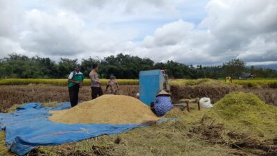 Kapolsek Terara Himbau Petani Tanam Jagung untuk Dukung Ketahanan Pangan