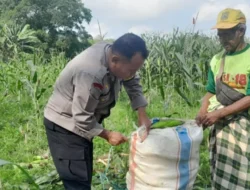 Upaya Polri Wujudkan Ketahanan Pangan Nasional di Desa