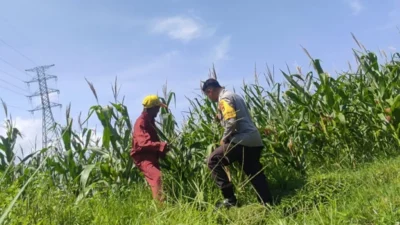 Sinergi Polri dan Petani, Kunci Utama Wujudkan Kedaulatan Pangan Berkelanjutan di Lombok Barat
