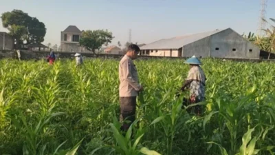 Strategi Polres Lombok Barat Optimalkan Lahan Desa Kuranji Dalang