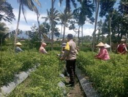 Bhabinkamtibmas Desa Kesik Cek Lahan Ketahanan Pangan di Dusun Munsok, Dukung Program Pemerintah