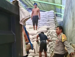 Langkah Nyata Polsek Lembar Dukung Ketahanan Pangan, Dampingi Penyerapan Jagung oleh Bulog