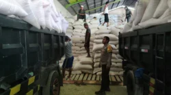 Sinergi Kuat Polri dan Petani di Lembar: Pastikan Belasan Ton Jagung Diserap Bulog Tanpa Hambatan