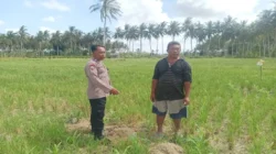 Transformasi Pekarangan Jadi Sumber Pangan, Langkah Strategis Polri Dampingi Petani di Kabupaten Lombok Barat