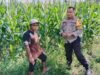 Petani Dusun Jogot Tersenyum, Polsek Labuapi Berikan Pendampingan Intensif untuk Amankan Stok Pangan Desa