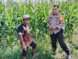 Petani Dusun Jogot Tersenyum, Polsek Labuapi Berikan Pendampingan Intensif untuk Amankan Stok Pangan Desa