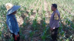 Polri Perkuat Ketahanan Pangan di Labuapi Lombok Barat