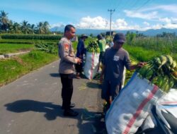 Kapolsek Wanasaba Silaturahmi dan Koordinasi Persiapan Panen Raya Jagung di Mamben Baru
