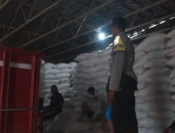 Sinergi Polri dan Petani Mareje: Distribusi Tonase Jagung ke Bulog Perkuat Ketahanan Pangan Nasional