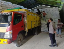 Optimalisasi Serapan Jagung, Polsek Lembar Dampingi Petani Distribusikan Hasil Panen ke Bulog