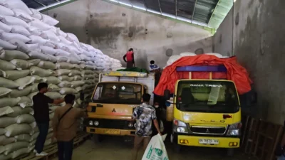Penyerapan Jagung Petani Desa Kedaro Capai 20 Ton, Polsek Sekotong Kawal Ketahanan Pangan Nasional