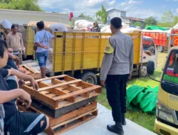 Lumbung Pangan Sekotong Bergelora: 20 Ribu Ton Jagung Desa Batu Putih Resmi Tembus Gudang Bulog!