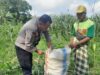 Sinergi Nyata di Tengah Ladang, Polisi dan Petani Labuapi Kolaborasi Demi Swasembada Pangan