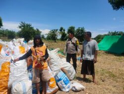 BHABINKAMTIBMAS DESA EKAS BUANA MONITORING PANEN JAGUNG WARGA DI DUSUN KUWANG ADIL