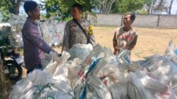 Bhabinkamtibmas Desa Ekas Buana Monitoring Panen Jagung Warga di Jerowaru
