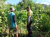 Bhabinkamtibmas Desa Labuhan Haji Laksanakan Sambang Lahan Ketahanan Pangan Bergizi di Dusun Sisik