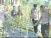Kapolsek Sakra Monitoring Ketahanan Pangan Tanaman Tomat dan Cabai di Desa Sakra