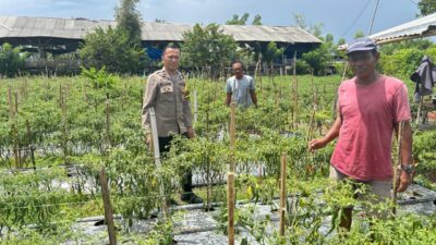 Kapolres Sumbawa Pantau Program Ketahanan Pangan di Dusun Meno