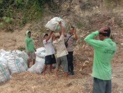 Bhabinkamtibmas Desa Rababaka Pantau Panen Jagung, Dorong Petani Dukung Ketahanan Pangan Nasional