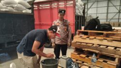 Kualitas Jempolan dengan Kadar Air 14 Persen, Petani Sekotong Distribusikan 10,5 Ton Jagung ke Gudang Bulog