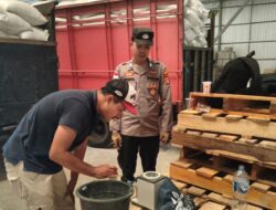 Pasokan Jagung Melimpah dari Sekotong, 10,5 Ton Jagung Resmi Masuk Gudang Bulog demi Ketahanan Pangan