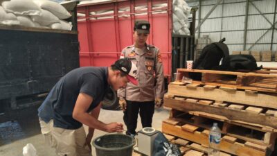 Kualitas Jempolan dengan Kadar Air 14 Persen, Petani Sekotong Distribusikan 10,5 Ton Jagung ke Gudang Bulog