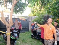 Warga Banyumulek Gempar, Suami Nekat Gantung Diri di Depan Ponsel yang Masih Menyala Saat VC dengan Istri