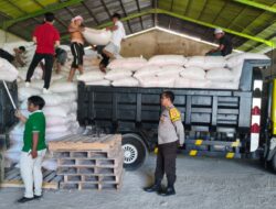 Polisi Kawal Ketat Distribusi Belasan Ton Jagung Mareje Timur ke Gudang Bulog