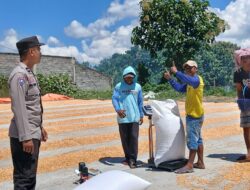 Bhabinkamtibmas Desa Mbuju Pantau Penjemuran Jagung, Dukung Ketahanan Pangan Nasional