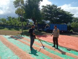 Bhabinkamtibmas Desa Nangakara Lakukan Pemantauan Panen Jagung, Dukung Program Ketahanan Pangan