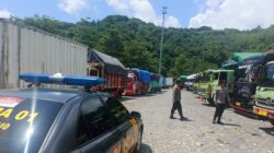 Pengiriman Sapi dari Lombok ke Jawa Lancar, Polisi Pastikan Antrean di Pelabuhan Lembar Kini Nihil