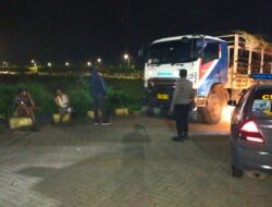 Antrean Truk Sapi di Pelabuhan Lembar Akhirnya Melandai, Distribusi ke Jawa Kini Jauh Lebih Cepat!