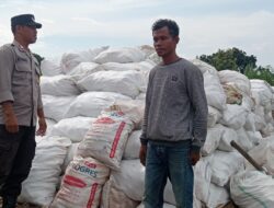BHABINKAMTIBMAS POLSEK PEKAT PANTAU PANEN JAGUNG, DUKUNG KETAHANAN PANGAN