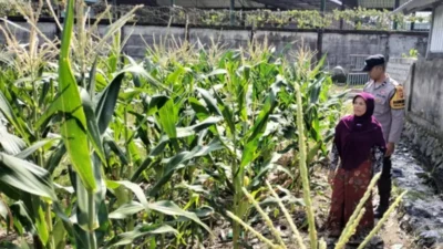 Optimalkan Lahan Tidur, Bhabinkamtibmas Labuapi Ajak Warga Wujudkan Pekarangan Bergizi