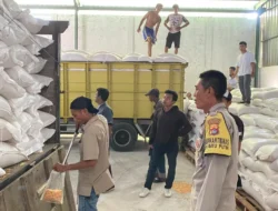 Pastikan Harga Stabil, Ribuan Ton Jagung dari Desa Batu Putih Dikawal Polisi Menuju Bulog