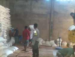 Sinergi Polri dan Petani: Bhabinkamtibmas Desa Mareje Kawal Distribusi Tonase Jagung ke Gudang Bulog